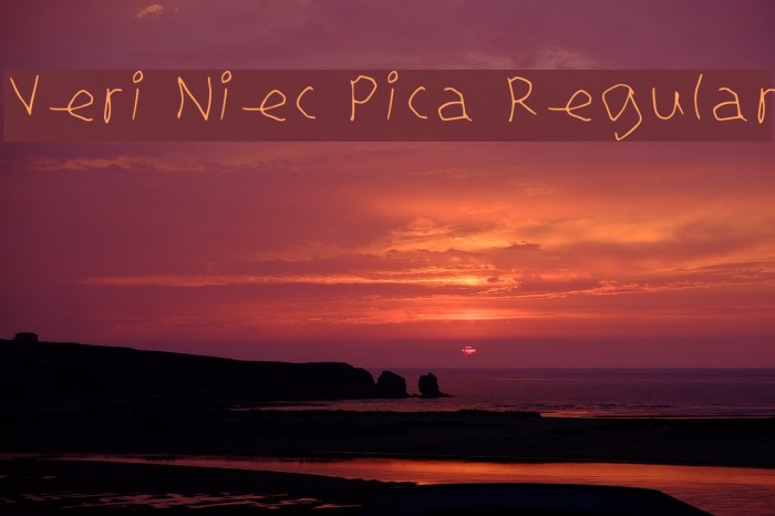 Veri Niec Pica Regular Example 1