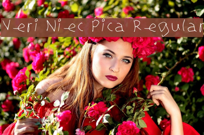 Veri Niec Pica Regular Example 2