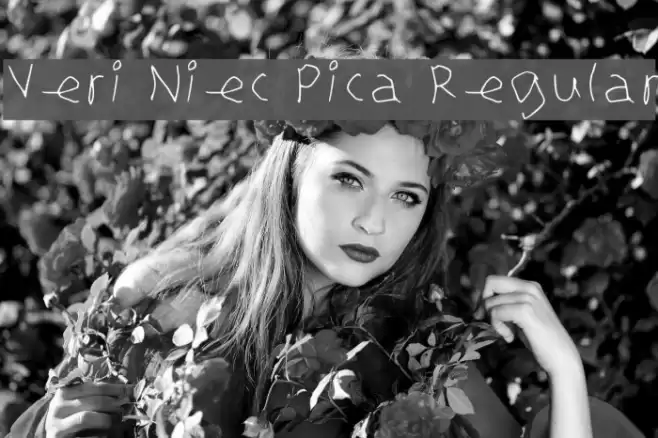 Veri Niec Pica Regular Font examples
