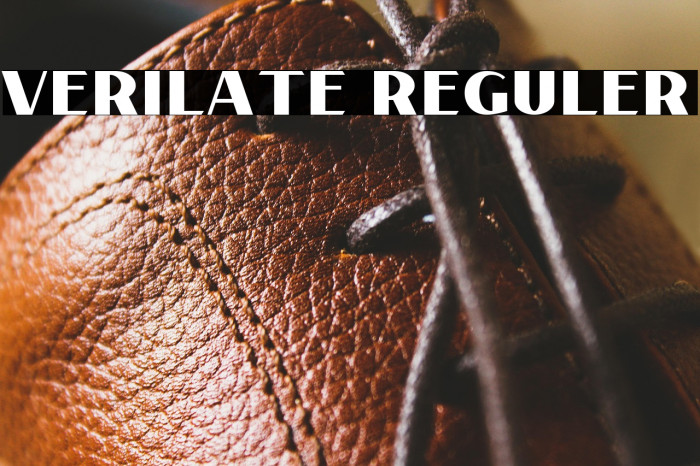 Verilate Reguler Example 1