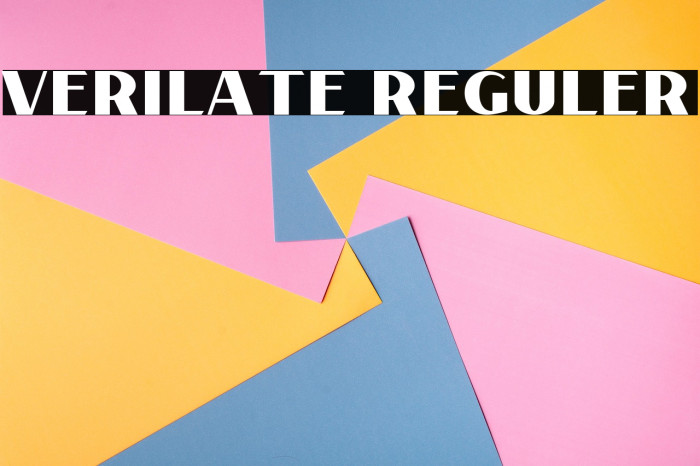 Verilate Reguler Example 2