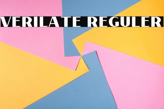 Verilate Reguler Example 2