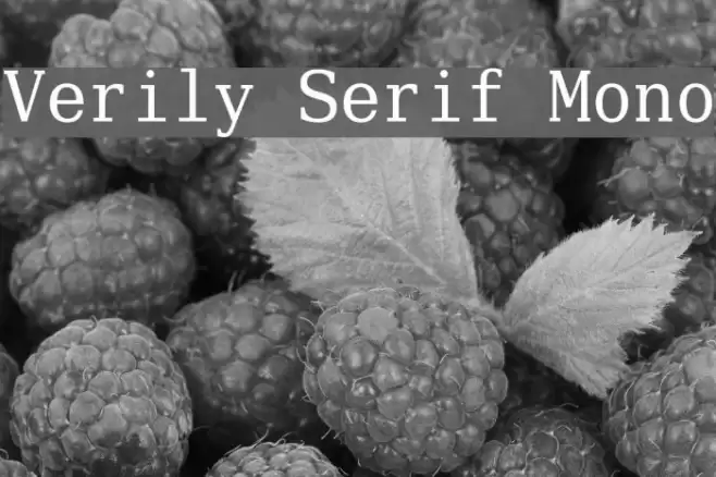 Verily Serif Mono Caratteri examples