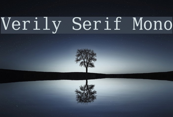 Verily Serif Mono Font examples