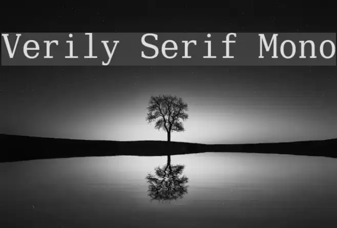 Verily Serif Mono Caratteri examples