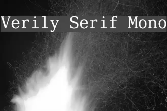 Verily Serif Mono Caratteri examples