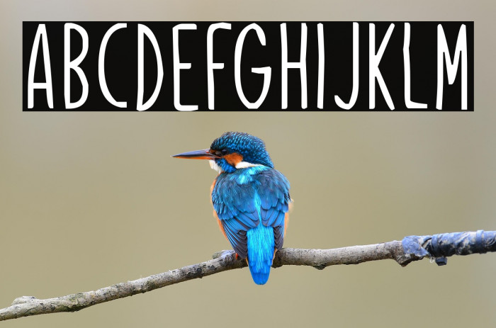 Veritas Christmas Example 2