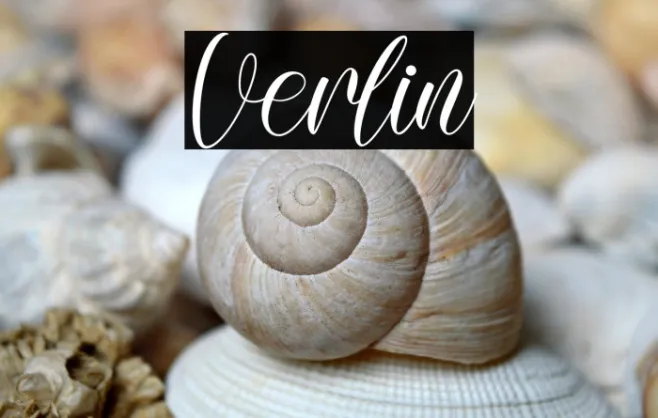 Verlin Example 1