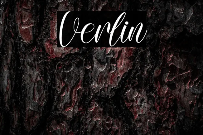 Verlin Example 2