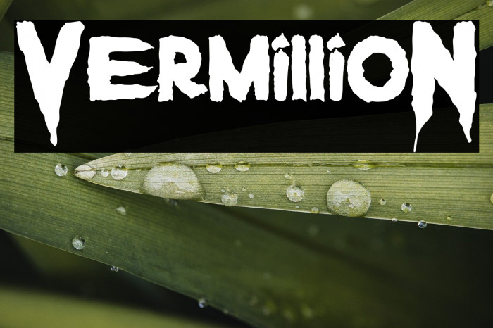 VermillioN Example 1