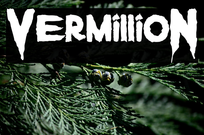 VermillioN Example 2