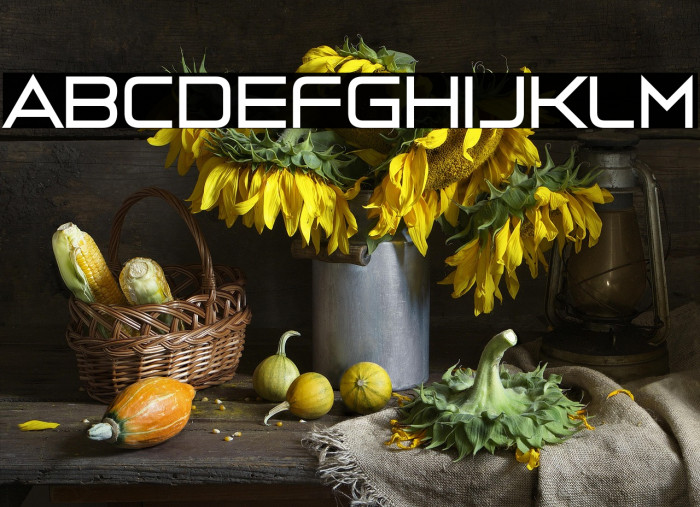 Vermillion 22 Example 2