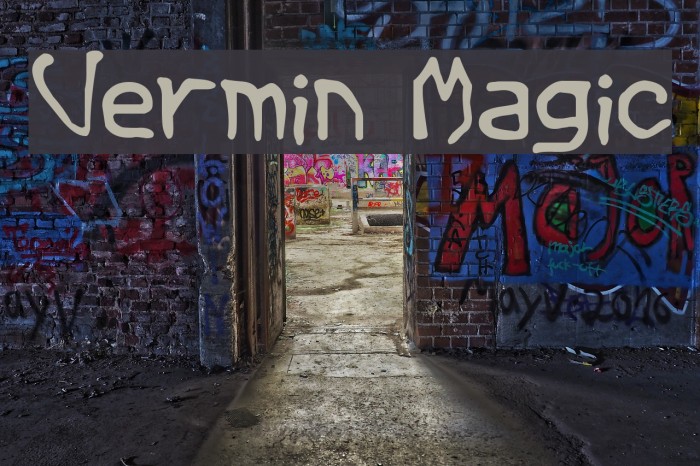 Vermin Magic Fonte examples