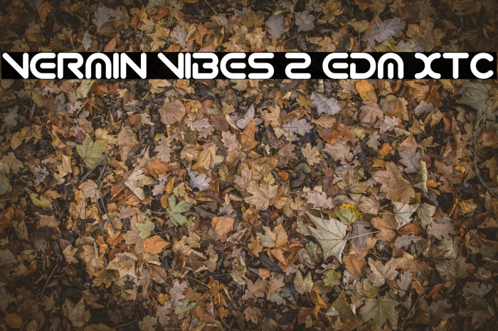 Vermin Vibes 2 EDM XTC Font examples