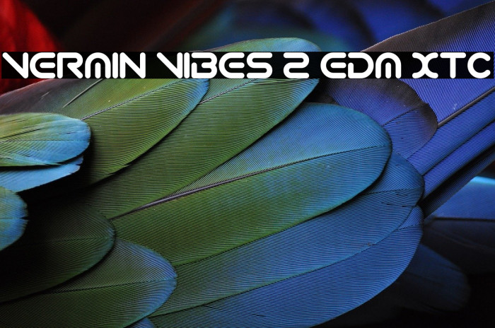 Vermin Vibes 2 EDM XTC Font examples