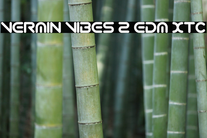 Vermin Vibes 2 EDM XTC Font examples