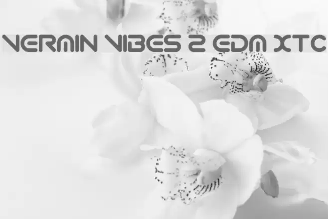 Vermin Vibes 2 EDM XTC Fuentes examples