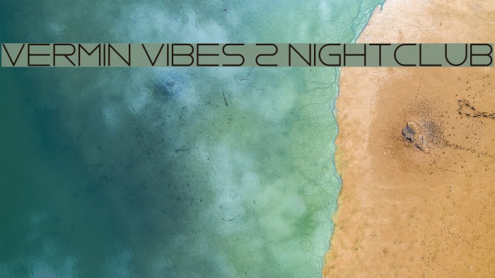 Vermin Vibes 2 Nightclub Font examples
