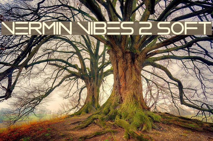 Vermin Vibes 2 Soft Example 1