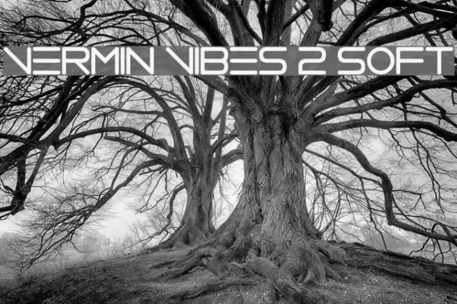 Vermin Vibes 2 Soft Font examples