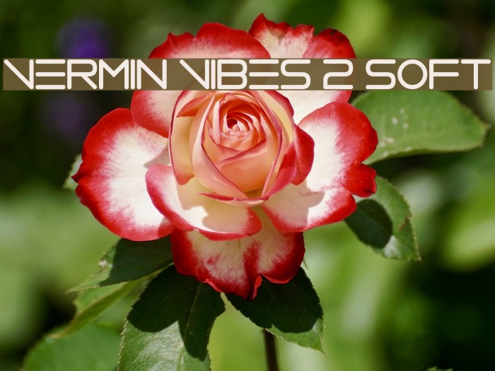 Vermin Vibes 2 Soft Example 2