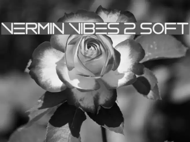 Vermin Vibes 2 Soft Font examples