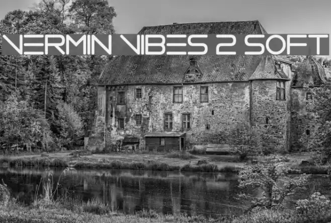 Vermin Vibes 2 Soft Font examples