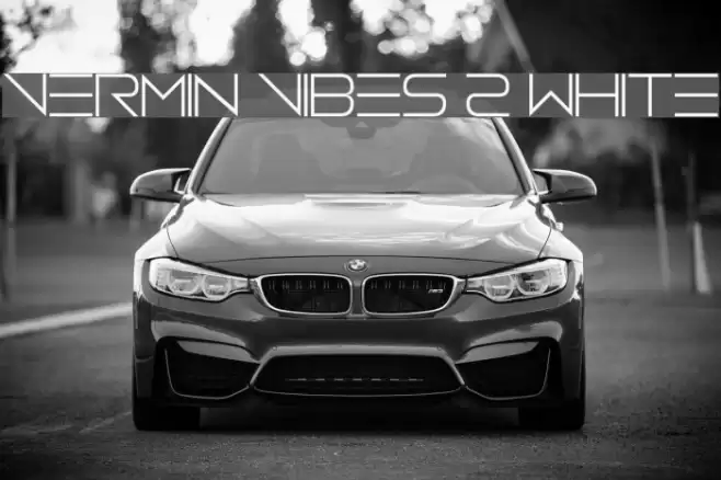 Vermin Vibes 2 White Font examples