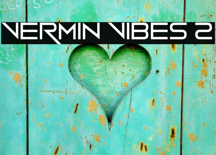 Vermin Vibes 2 Font examples