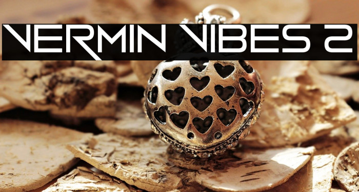 Vermin Vibes 2 Font examples