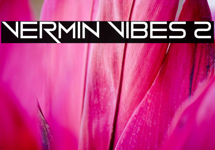 Vermin Vibes 2 Font examples