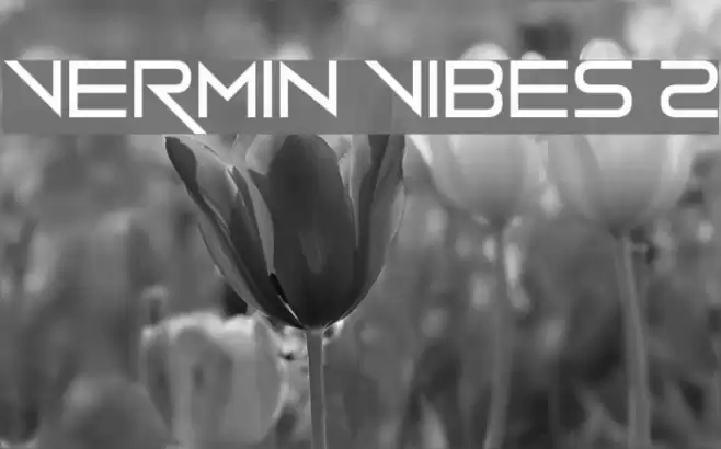 Vermin Vibes 2 Font examples