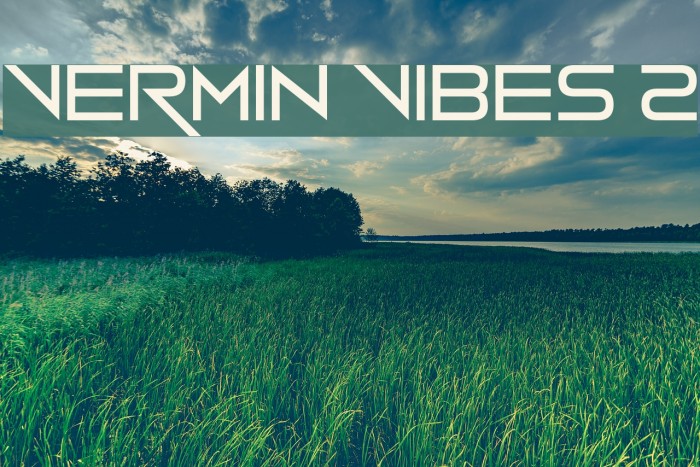 Vermin vibes. Vermin vibes