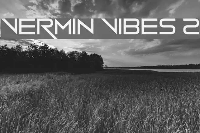 Vermin Vibes 2 Font examples