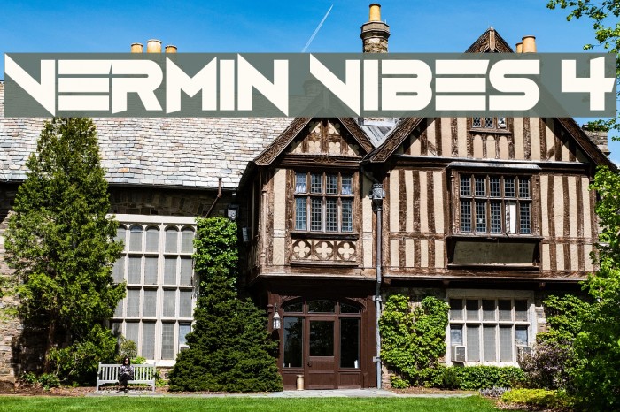 Vermin Vibes 4 Example 1