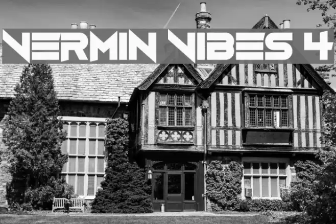 Vermin Vibes 4 Font examples