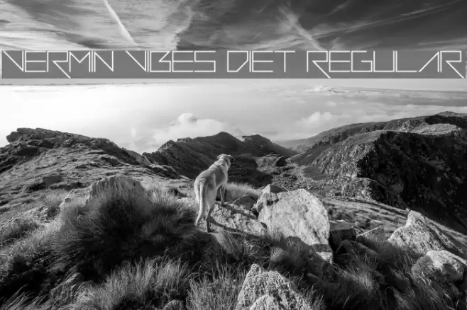 Vermin Vibes Diet Regular Font examples