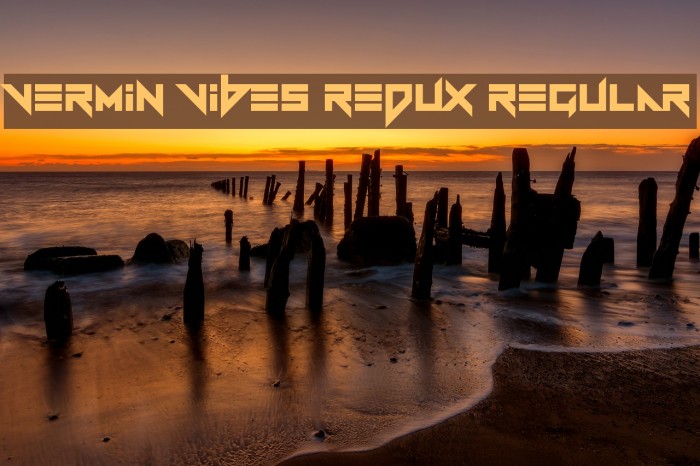 Vermin Vibes Redux Regular Example 1