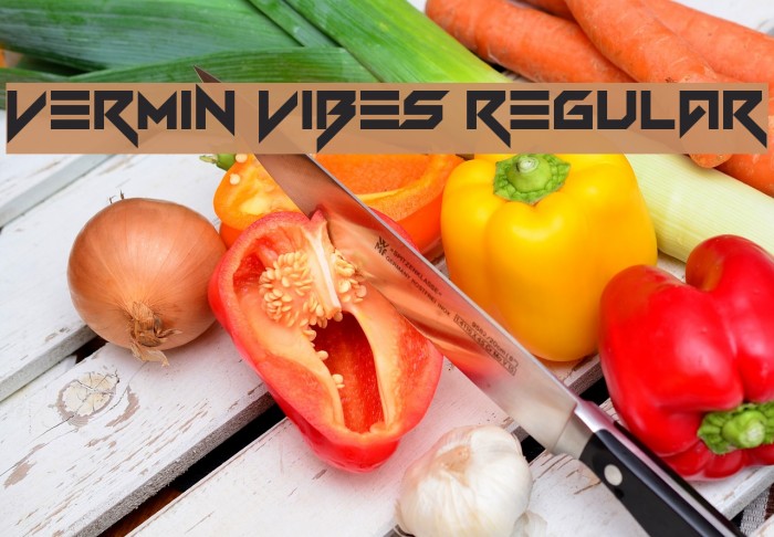 Vermin Vibes Regular Font examples