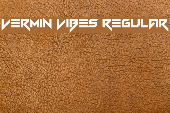 Vermin Vibes Regular Font examples