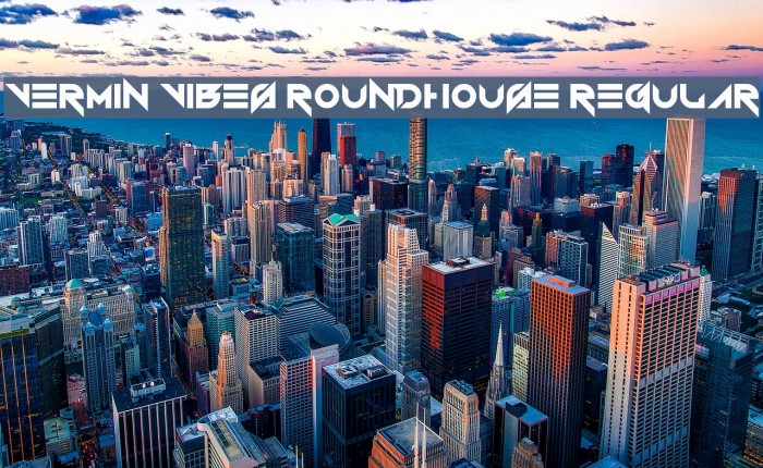 Vermin Vibes Roundhouse Regular Font examples