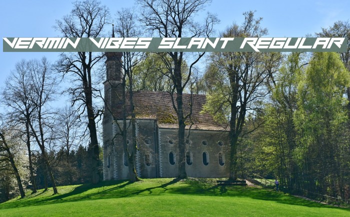 Vermin Vibes Slant Regular Example 1