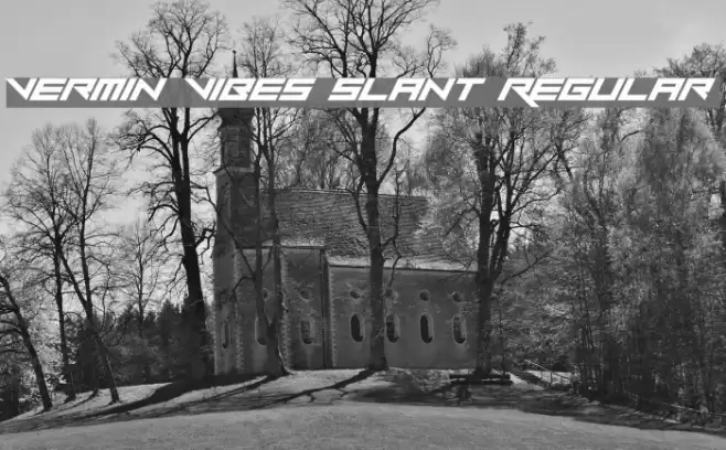 Vermin Vibes Slant Regular Font examples