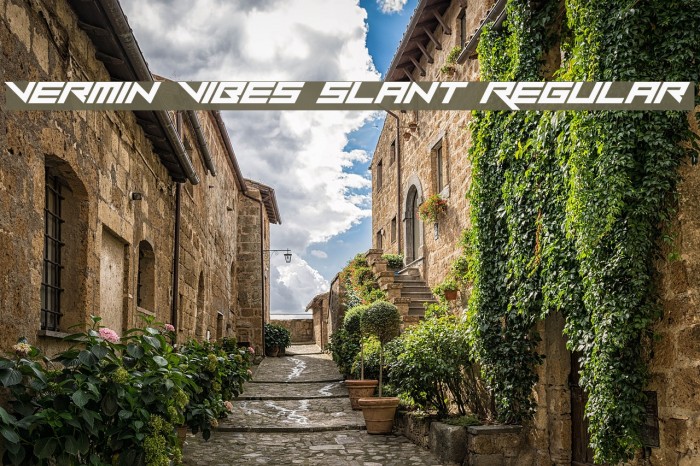 Vermin Vibes Slant Regular Example 3