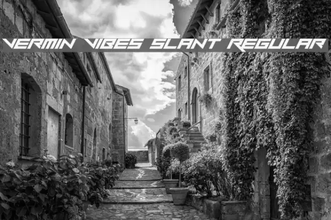 Vermin Vibes Slant Regular Font examples