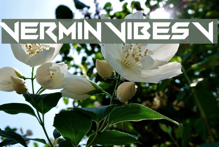 Vermin Vibes V Font examples