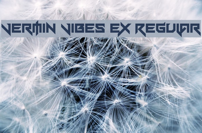 Vermin Vibes eX Regular Font examples