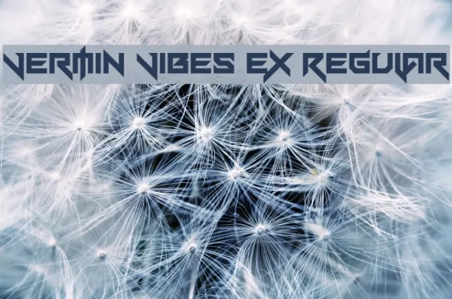 Vermin Vibes eX Regular Example 2