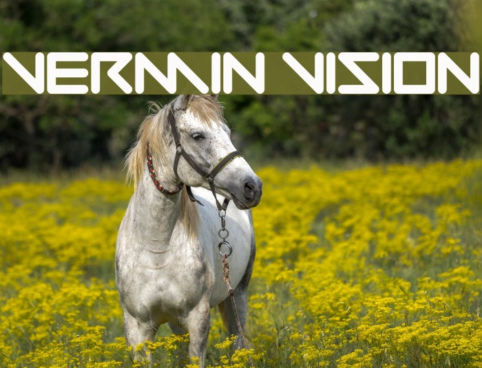 Vermin Vision Example 1