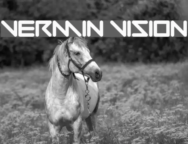 Vermin Vision Font examples
